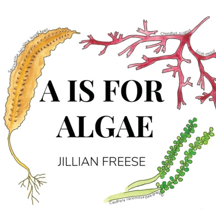 A is for Algae