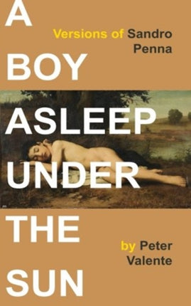 A Boy Asleep Under the Sun Versions of Sandro Penna