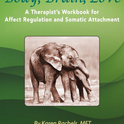 Body Brain Love A Therapists Workbook for Affect Regulation and Somatic Attachment