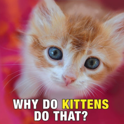 Why Do Kittens Do That