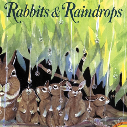 Rabbits and Raindrops