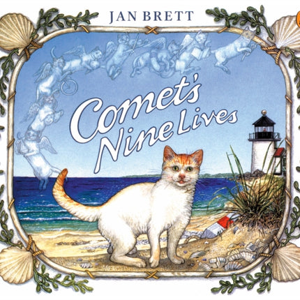 Comet's Nine Lives