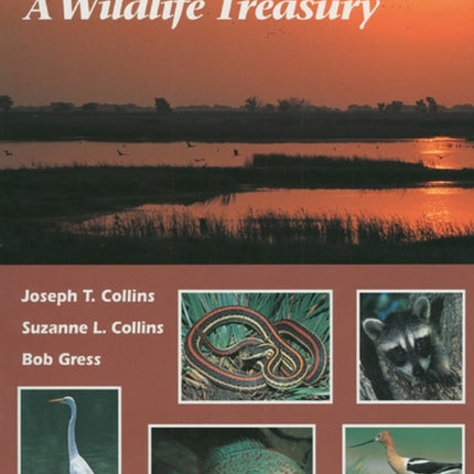 Kansas Wetlands: A Wildlife Treasury