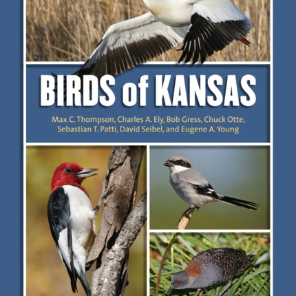 Birds of Kansas