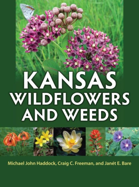 Kansas Wildflowers and Weeds