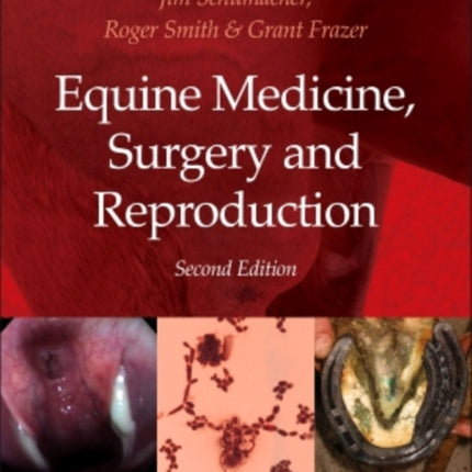 Equine Medicine Surgery and Reproduction