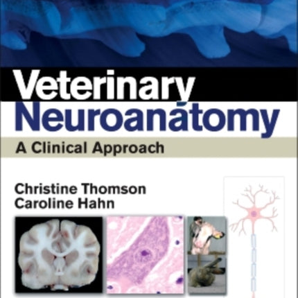 Veterinary Neuroanatomy