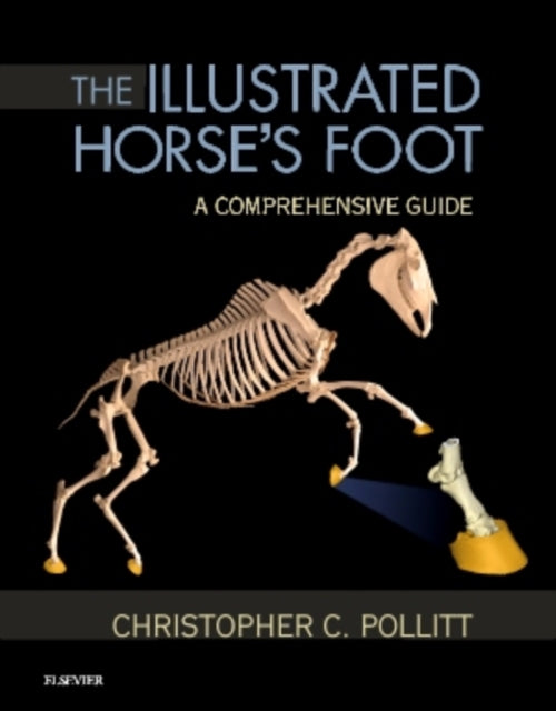 The Illustrated Horses Foot