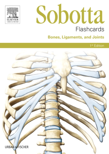 Sobotta Flashcards Bones, Ligaments, and Joints: Bones, Ligaments, and Joints