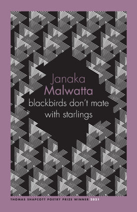 blackbirds dont mate with starlings