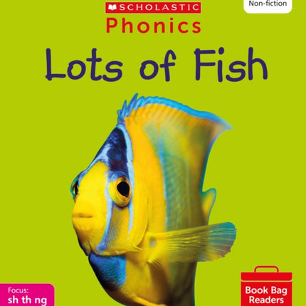 Lots of Fish (Set 4) Matched to Little Wandle Letters and Sounds Revised