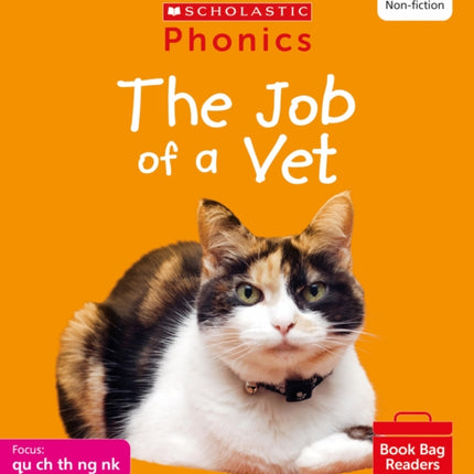 The Job of a Vet (Set 4) Matched to Little Wandle Letters and Sounds Revised