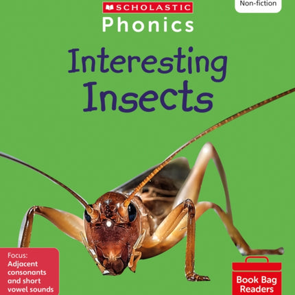 Interesting Insects (Set 7) Matched to Little Wandle Letters and Sounds Revised