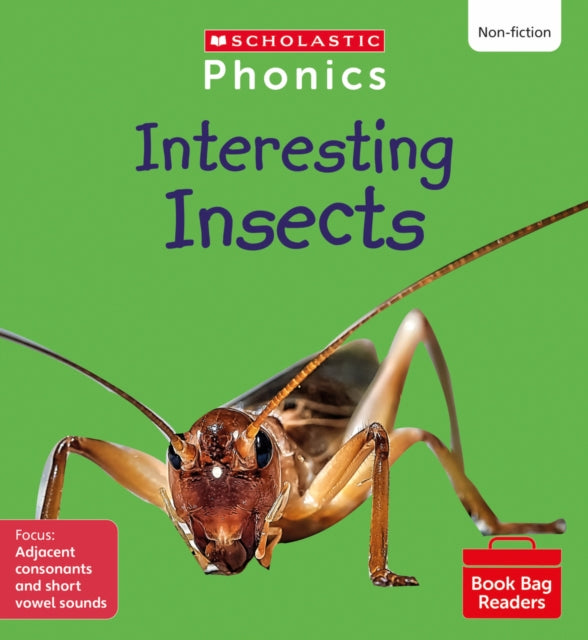 Interesting Insects (Set 7) Matched to Little Wandle Letters and Sounds Revised