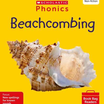 Beachcombing (Set 13) Matched to Little Wandle Letters and Sounds Revised