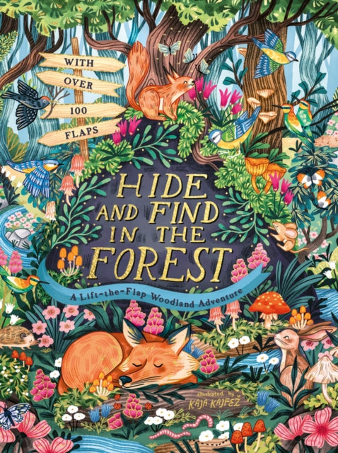 Hide and Find in the Forest A LifttheFlap Woodland Adventure