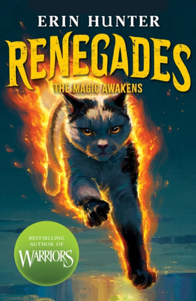 Renegades The Magic Awakens