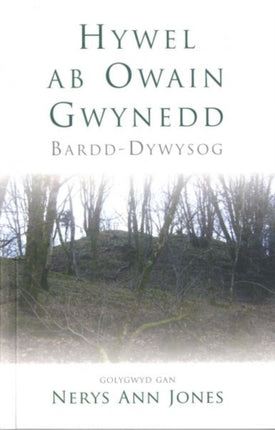 Hywel ab Owain Gwynedd: Bardd-Dywysog