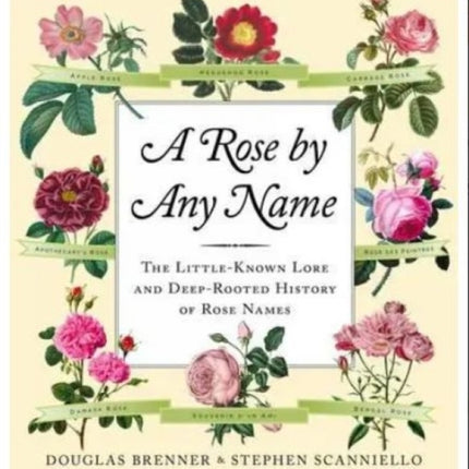 Rose By Any Name