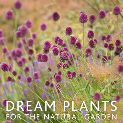 Dream Plants for the Natural Garden