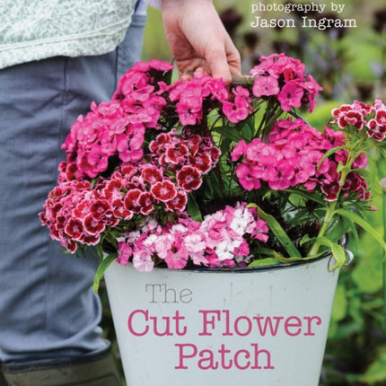 The Cut Flower Patch: Grow your own cut flowers all year round