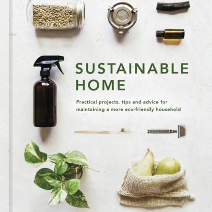 Sustainable Home: Practical projects, tips and advice for maintaining a more eco-friendly household: Volume 1