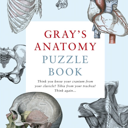 Gray's Anatomy Puzzle Book