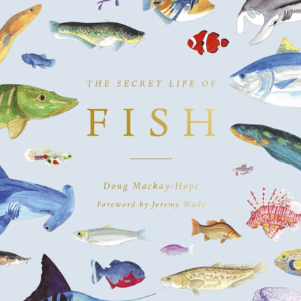 The Secret Life of Fish: The Astonishing Truth about our Aquatic Cousins