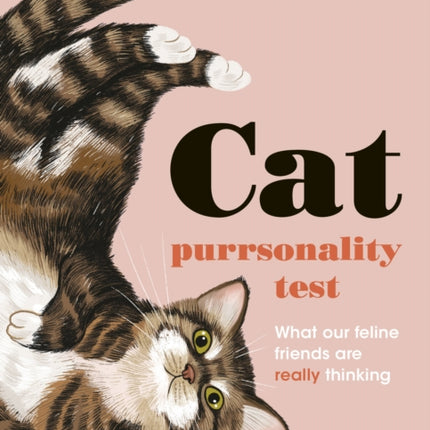 The Cat Purrsonality Test: What Our Feline Friends Are Really Thinking