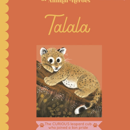 Talala: The curious leopard cub who joined a lion pride