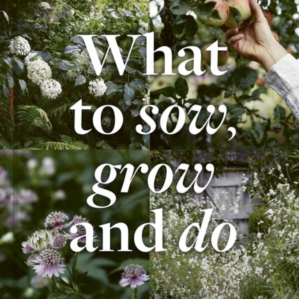 What to Sow, Grow and Do: A seasonal garden guide: Volume 4