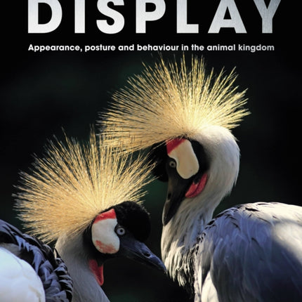 Display: Appearance, posture and behaviour in the animal kingdom