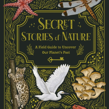 Secret Stories of Nature: A Field Guide to Uncover Our Planet's Past