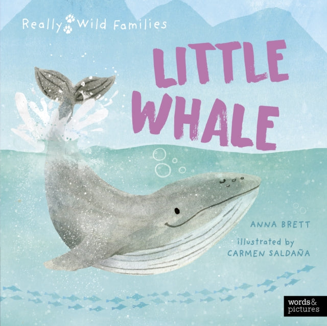 Little Whale: A Day in the Life of a Whale Calf