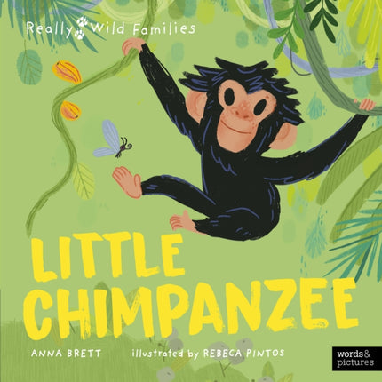 Little Chimpanzee: A Day in the Life of a Little Chimpanzee