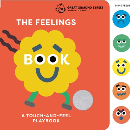 The Feelings Book TouchandFeel Emotions