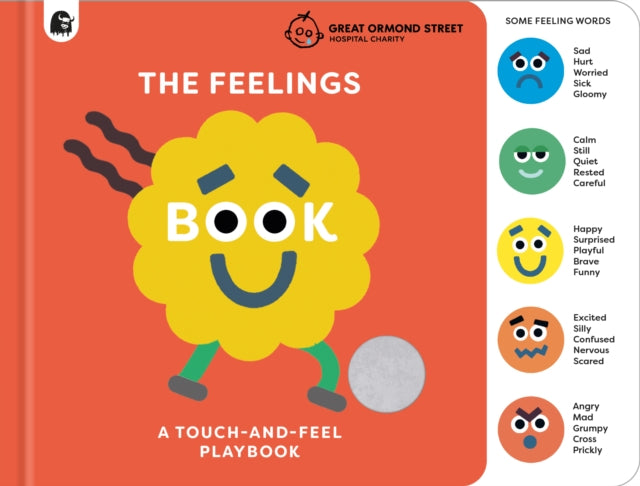 The Feelings Book TouchandFeel Emotions
