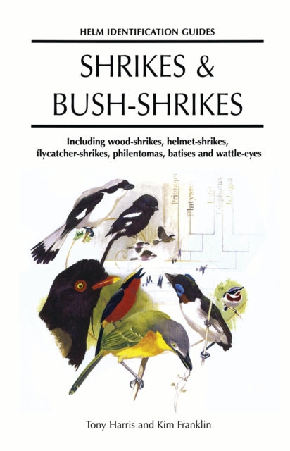 Shrikes and Bushshrikes