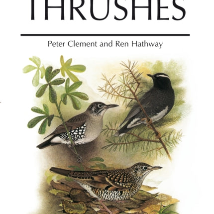Thrushes