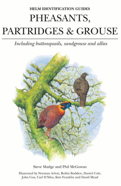Pheasants Partridges  Grouse