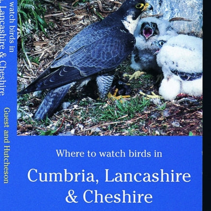 Where to watch birds in Cumbria Lancashire  Cheshire