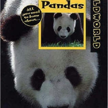 Giant Pandas