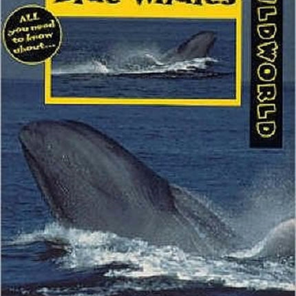 Blue Whales