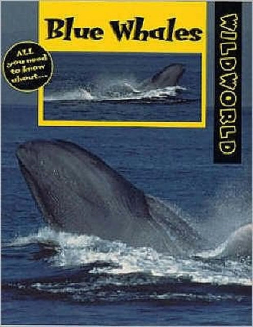 Blue Whales