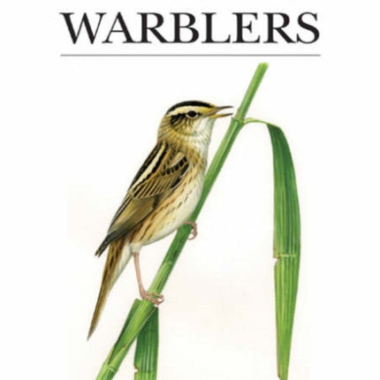 Reed and Bush Warblers