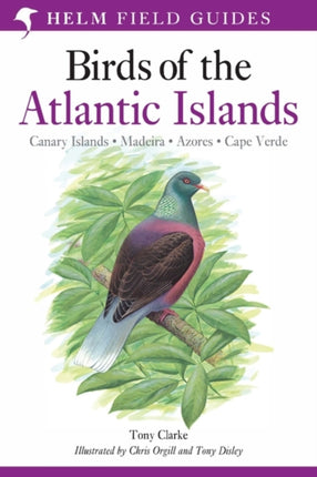 A Field Guide to the Birds of the Atlantic Islands: Canary Islands, Madeira, Azores, Cape Verde