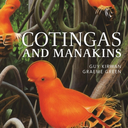 Cotingas and Manakins