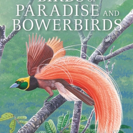 Birds of Paradise and Bowerbirds