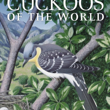 Cuckoos of the World Helm Identification Guides