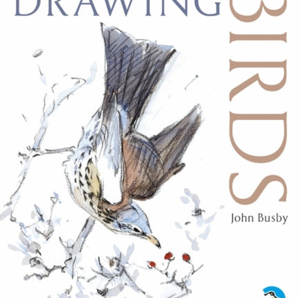 Drawing Birds